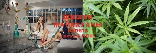 ГАЛЛЮЦИНОГЕННЫЕ ГРИБЫ Абаза