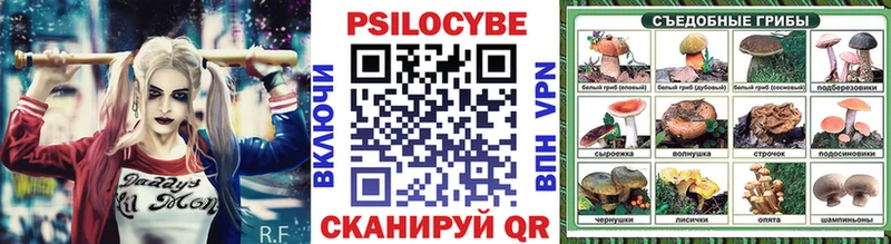 Псилоцибиновые грибы Psilocybe  Сольцы 